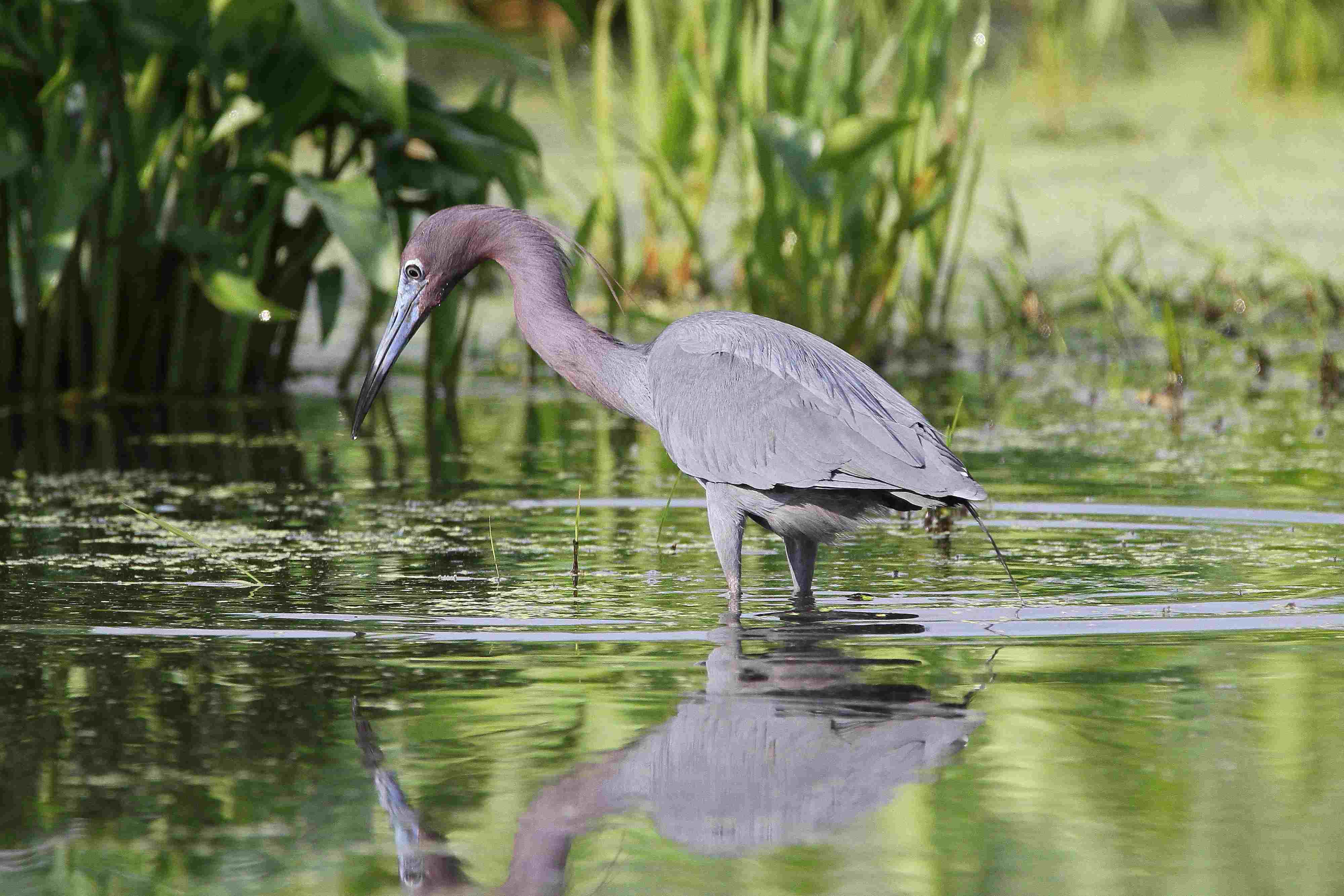Duane-Loveland_Brecks-Mil-on-Brandywine